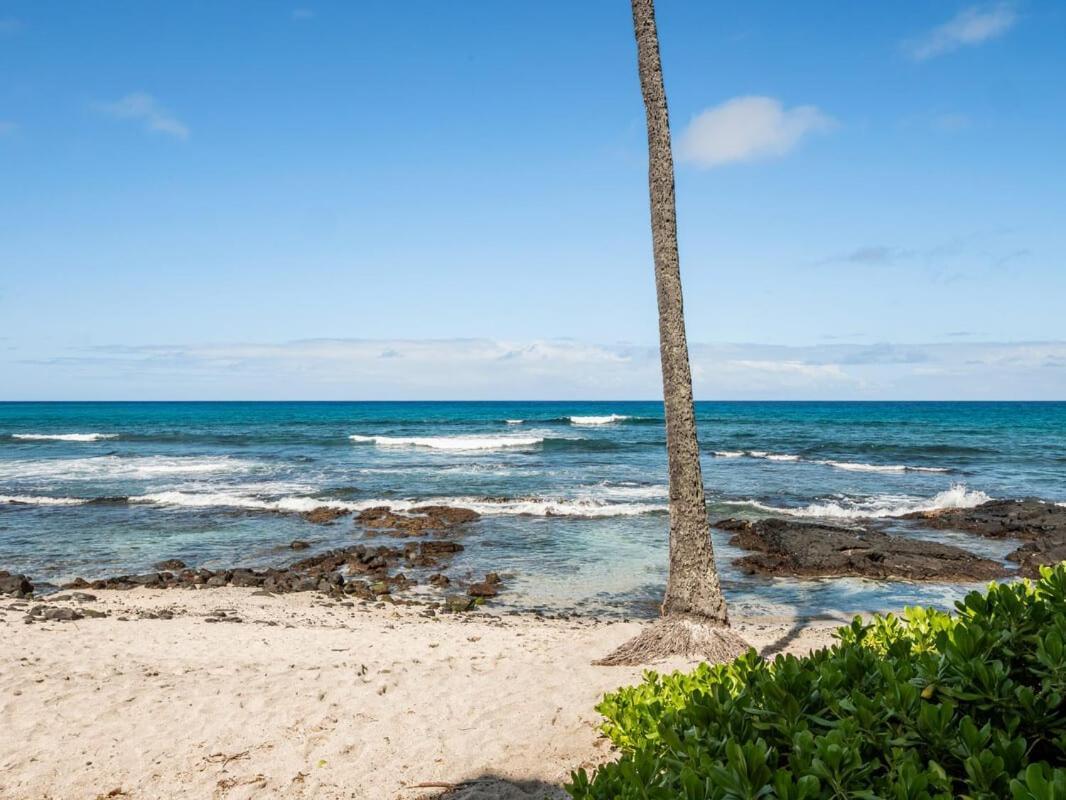 Oceanfront 1 Bedroom 2 Bathroom With Large Lanai - Kona Bali Kai 218 Kailua-Kona Exterior photo